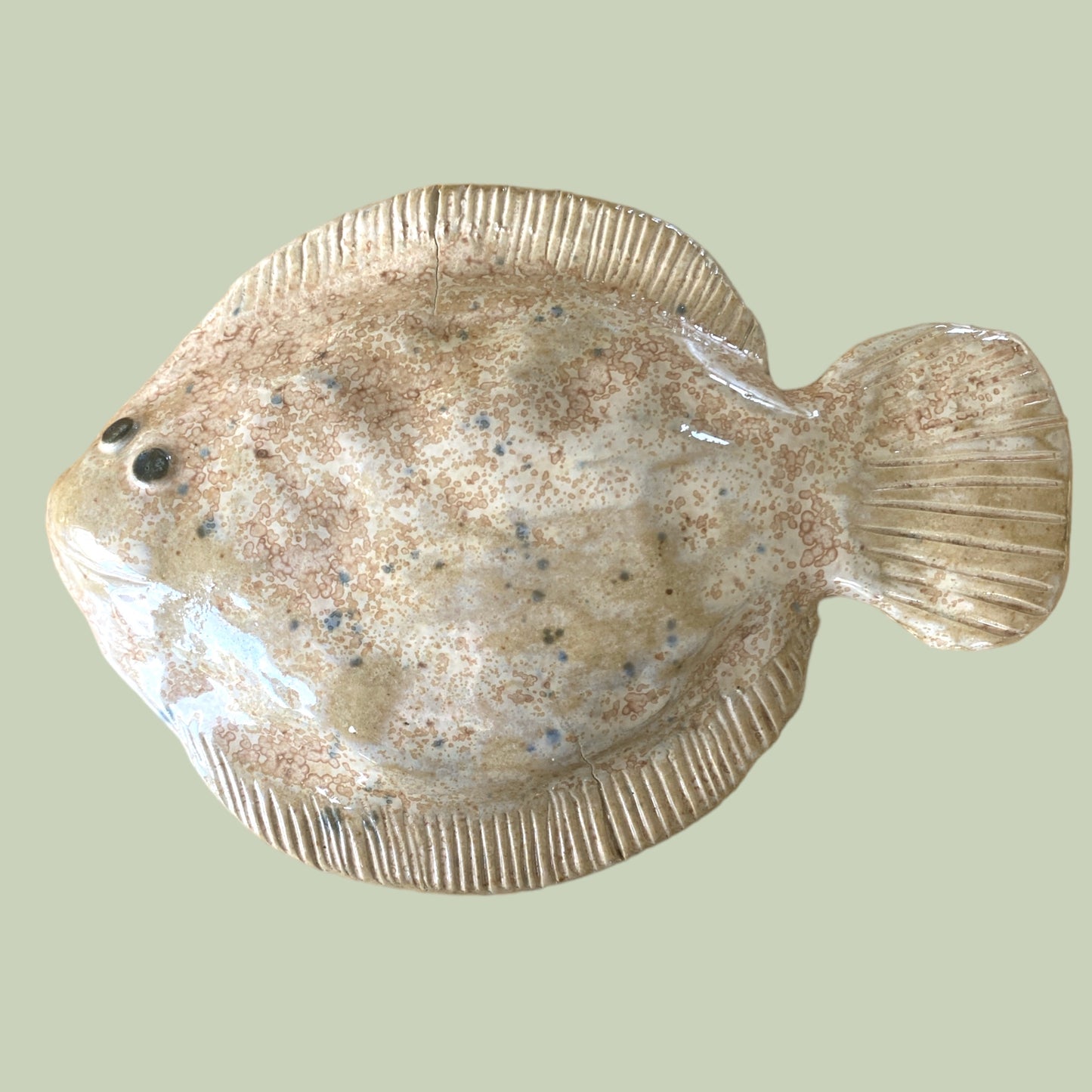 Fisk, skrubbe