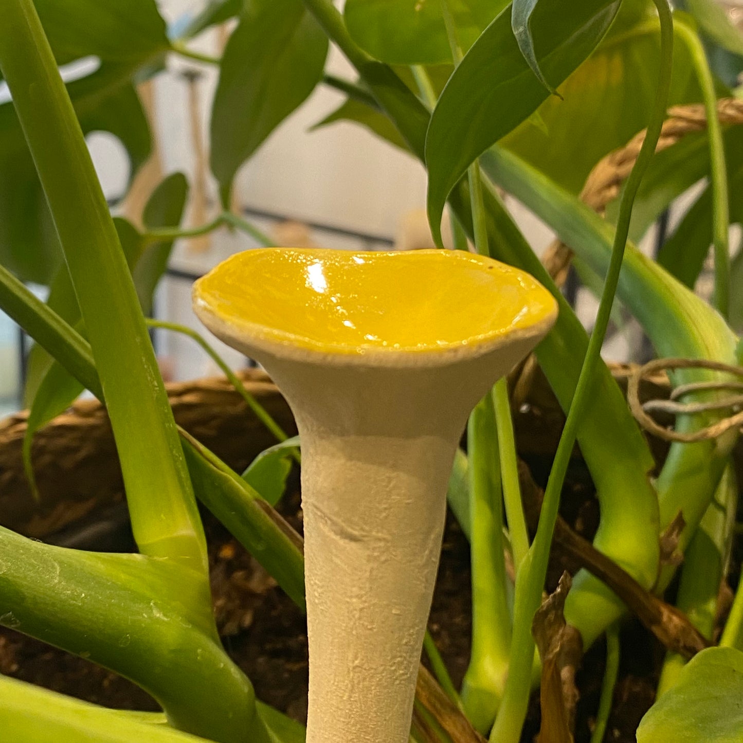 Insektkop, Bee cup