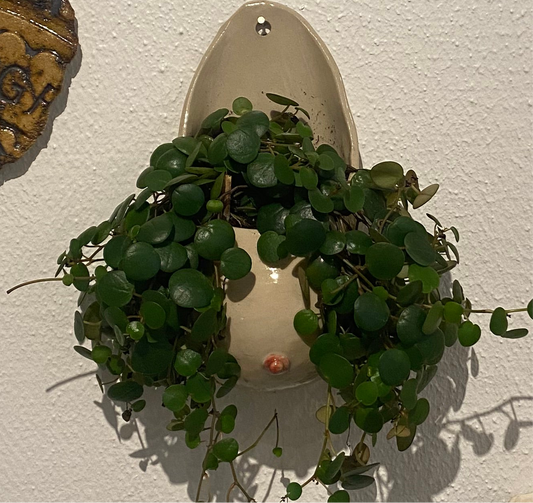 Hængebryst, vægophæng til planter eller andet, nr. 1