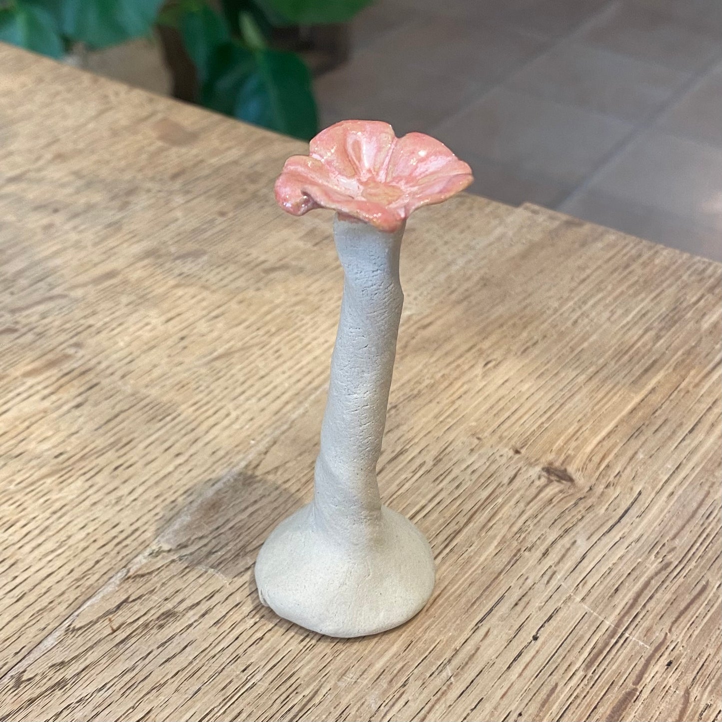 Stentøjsblomst, rosa