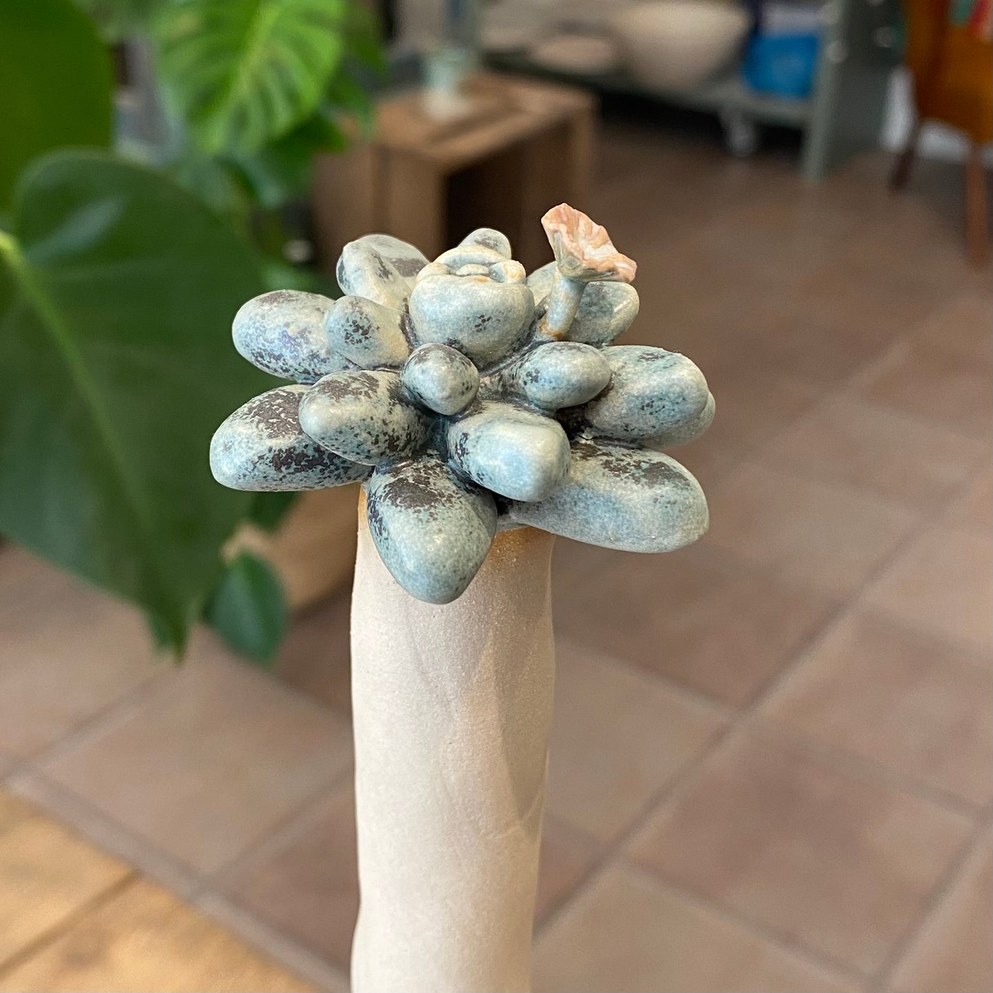 Unika skulptur, sukkulent, 41 cm