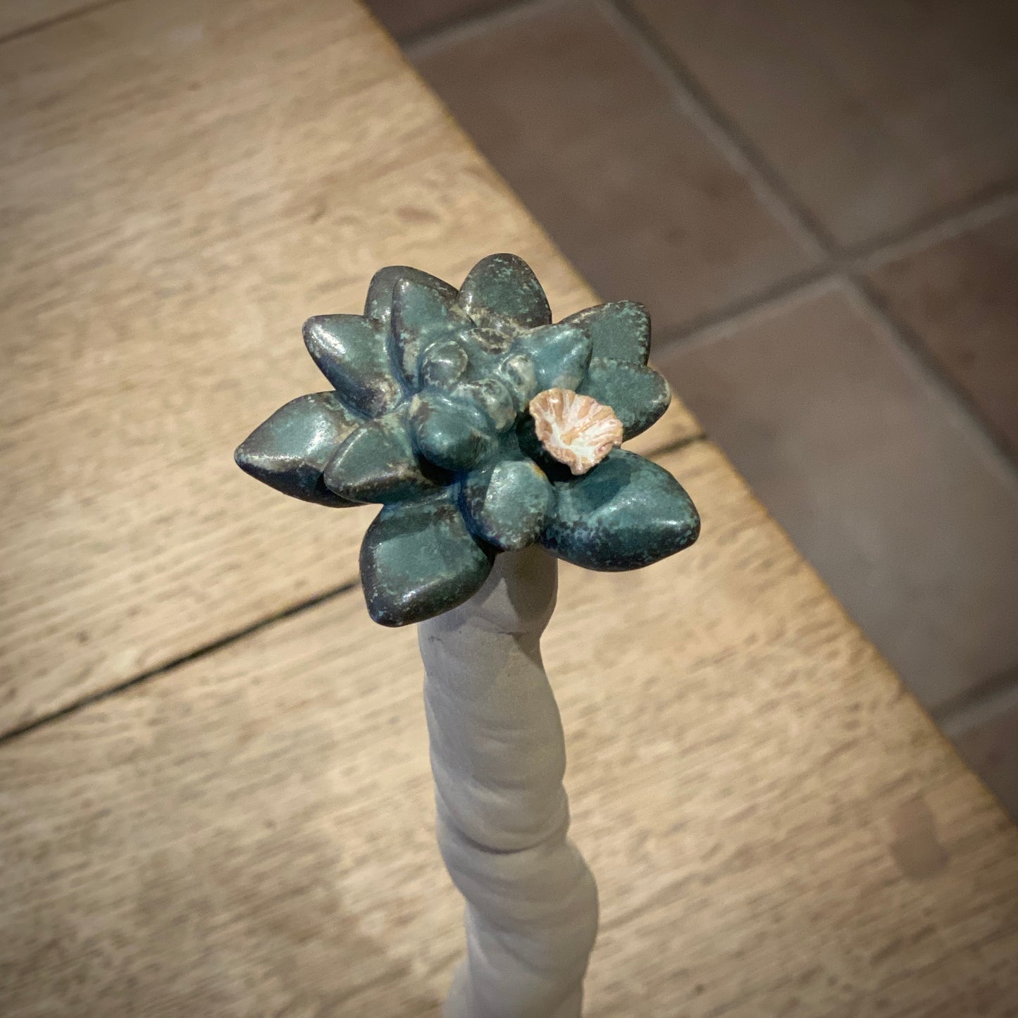 Unika skulptur, sukkulent