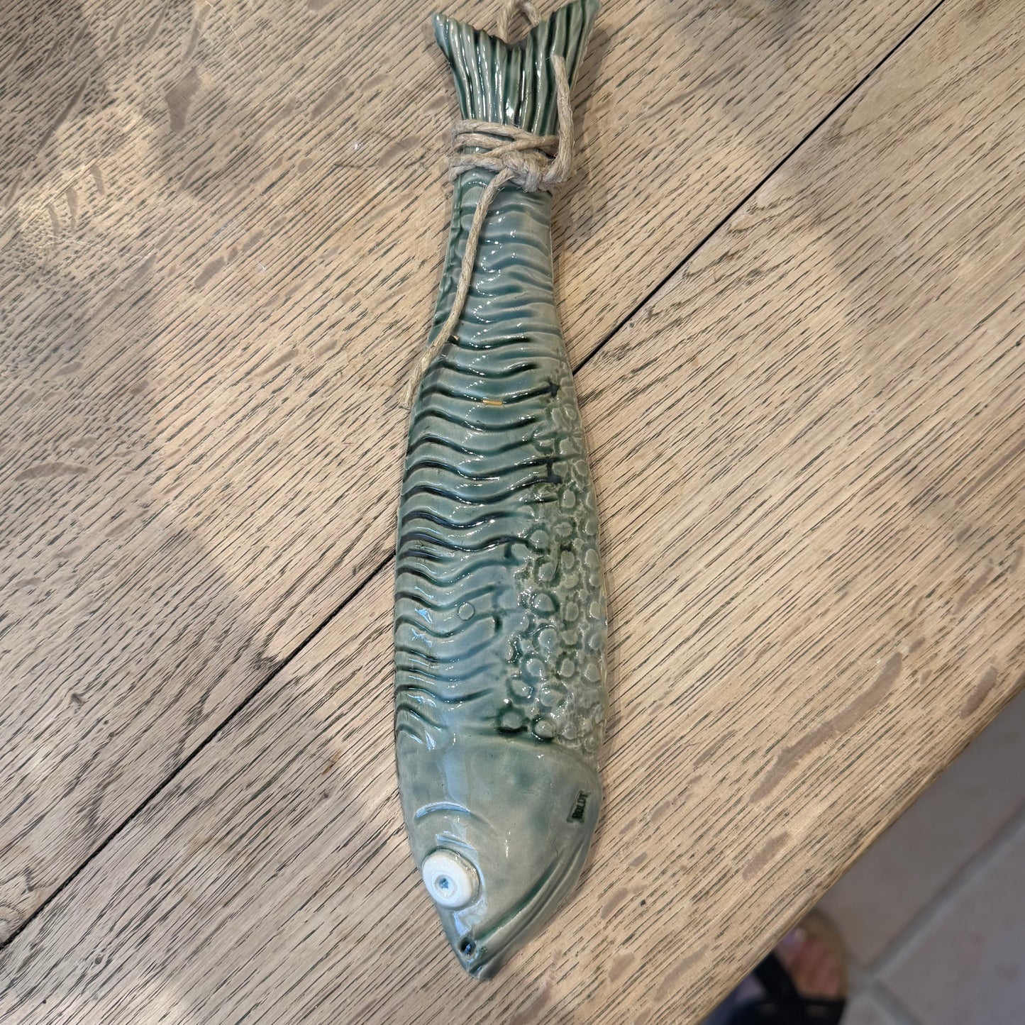Vægophæng, haleophængt fisk, nr. 3