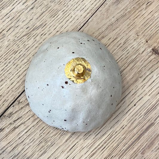 Bryst med guld niple