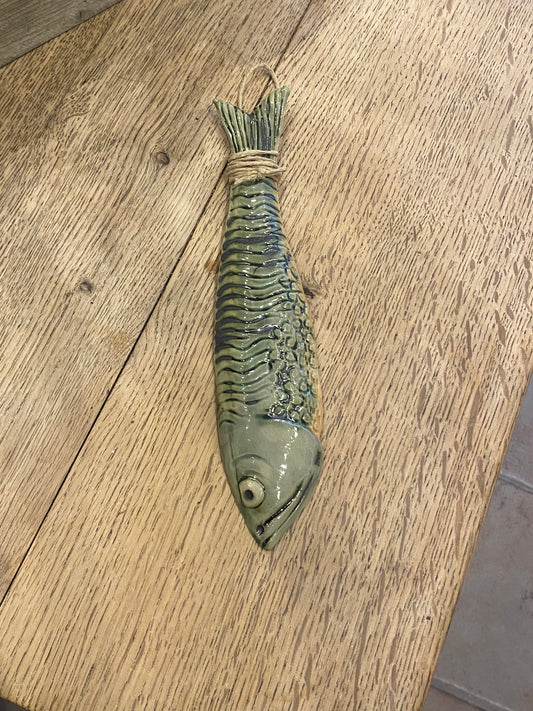 Haleophængt fisk, vægophæng