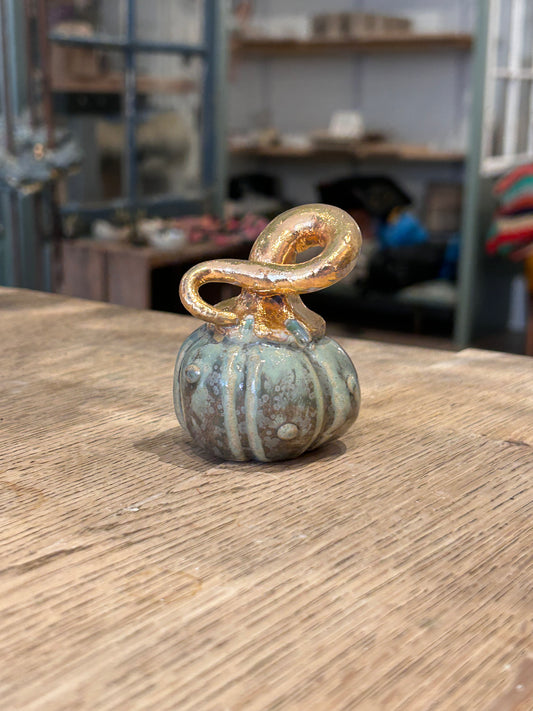 Håndformet lille græskar, nr. 1