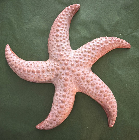 Søstjerne, vægophæng
