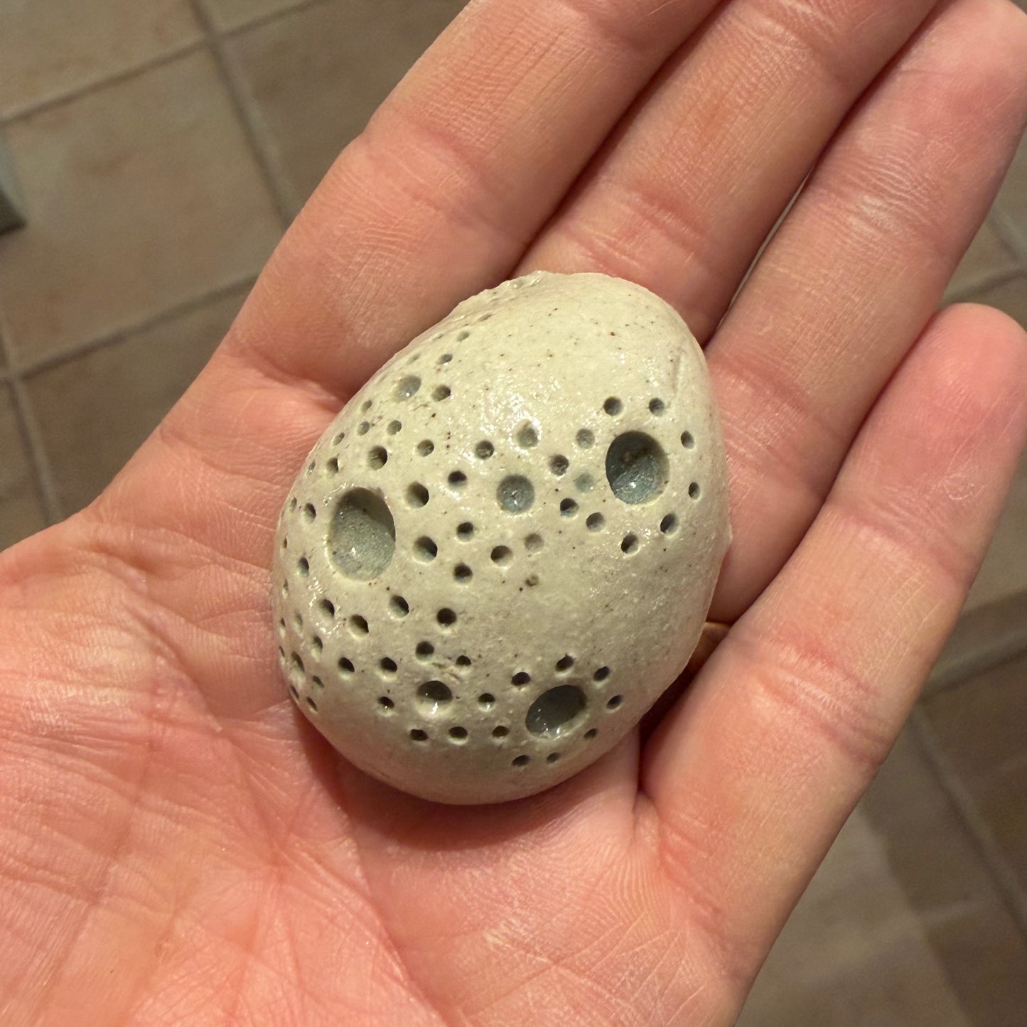 Pynte æg, blågrå prikker