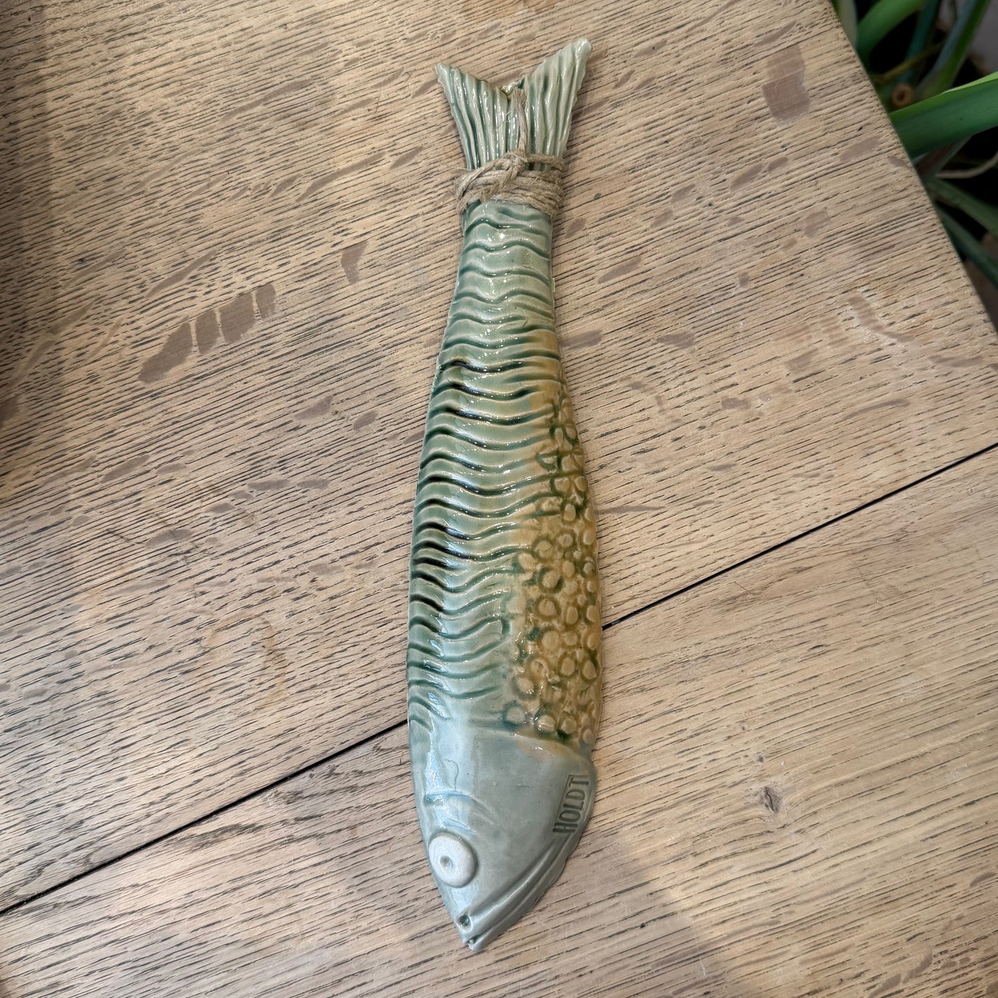 Vægophæng, haleophængt fisk, nr. 2
