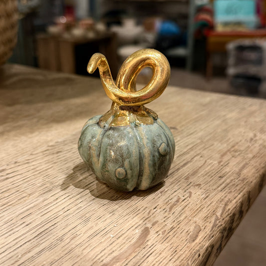 Håndformet lille græskar, nr. 6